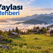 Sal Yaylası Gezi Rehberi