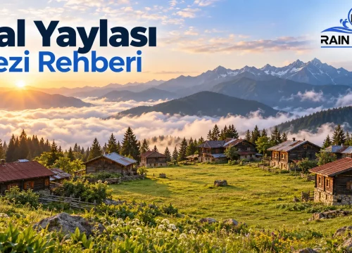 Sal Yaylası Gezi Rehberi